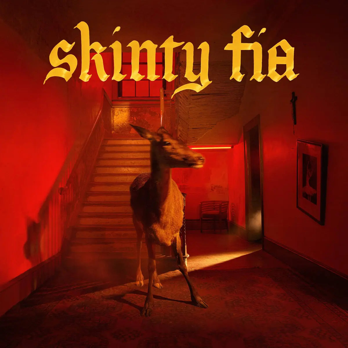 Fontaines D.C. - Skinty Fia (Partisan Records)