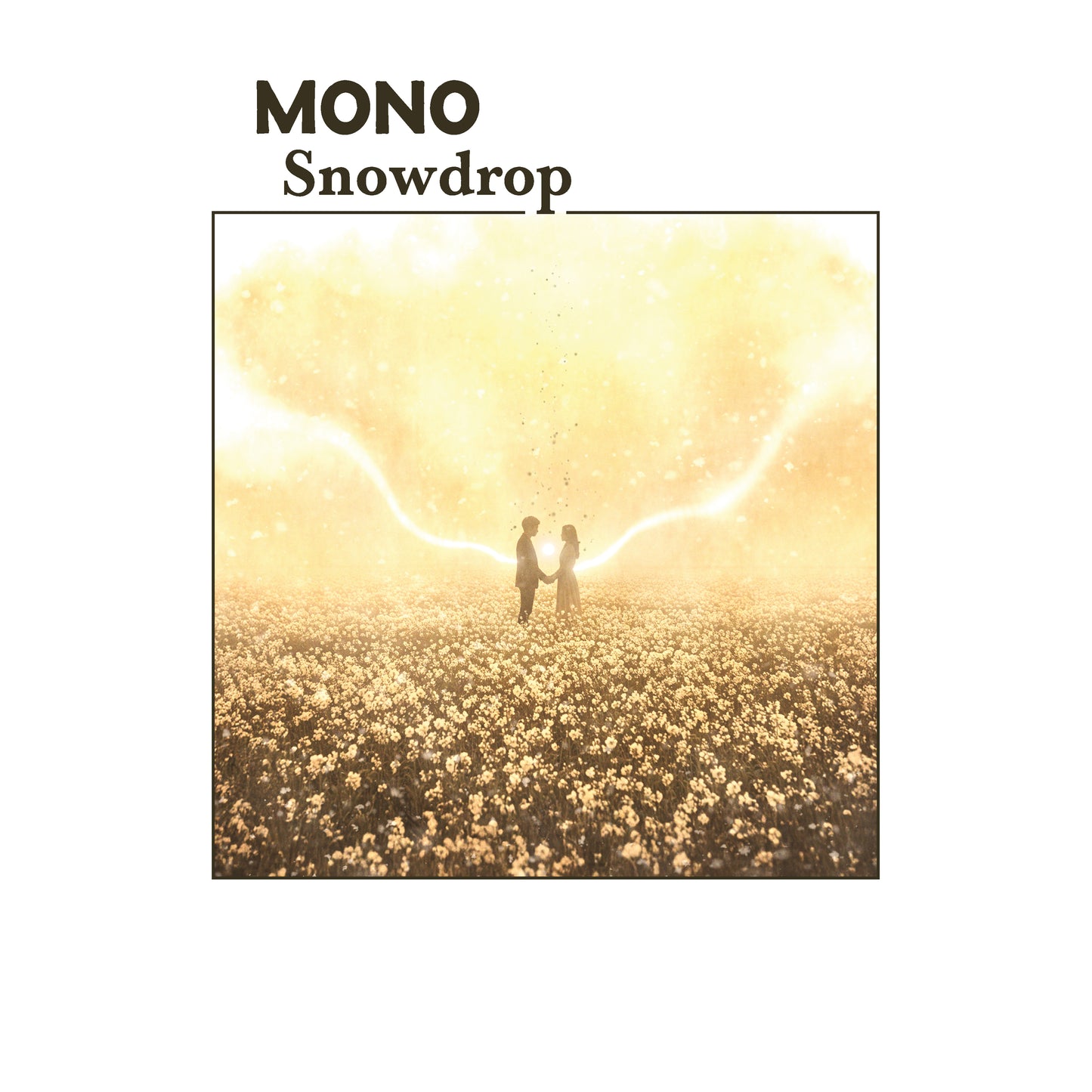 Mono - Snowdrop (Temporary Residence)
