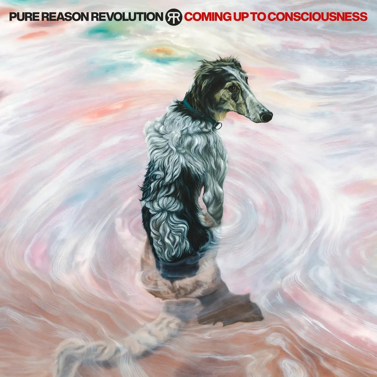 Pure Reason Revolution - Coming Up to Consciousness (Inside Out Music)