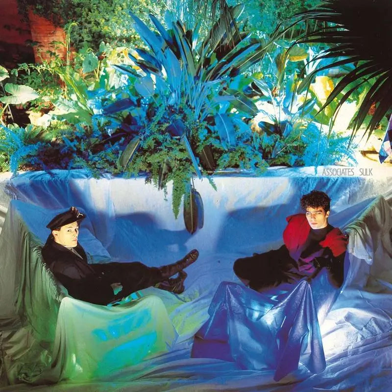 The Asssociates - Sulk (BMG)