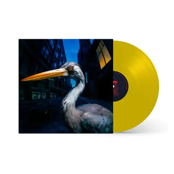 Antony Szmierek - Decoding Birdsong (Mushroom Music)