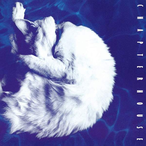 Chapterhouse Whirlpool (Music on Vinyl)