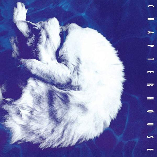 Chapterhouse Whirlpool (Music on Vinyl)