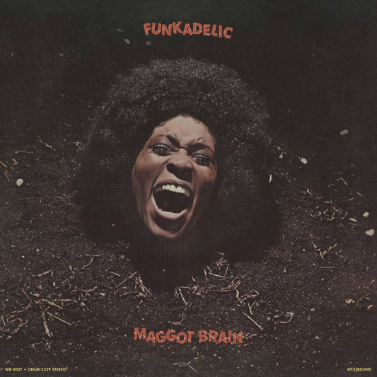 Funkadelic - Maggot Brain (ORG Music)