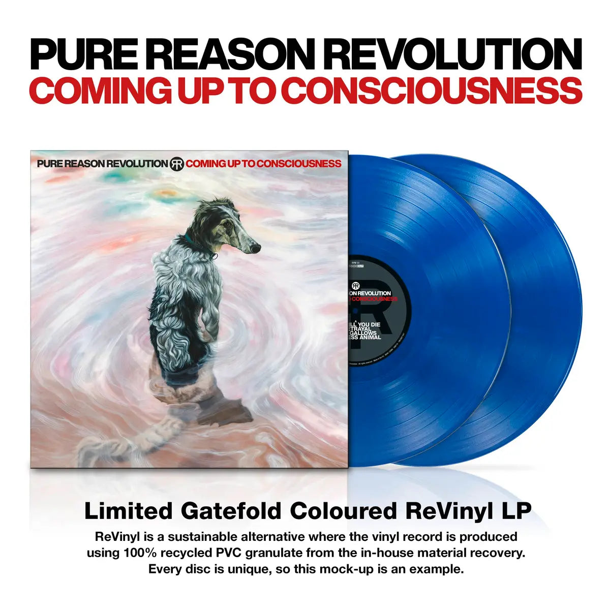 Pure Reason Revolution - Coming Up to Consciousness (Inside Out Music)