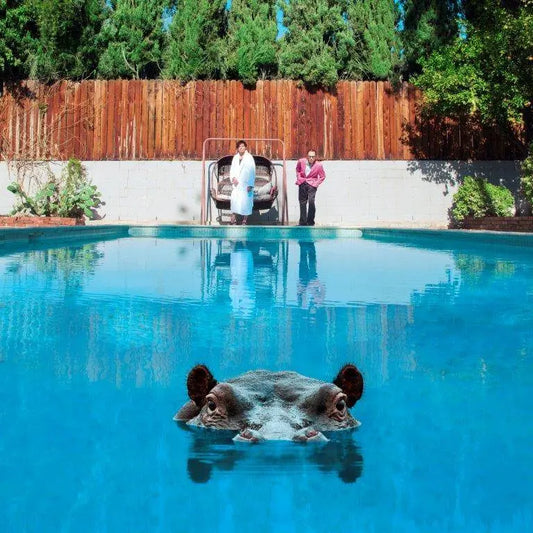 Sparks - Hippopotamus (BMG)