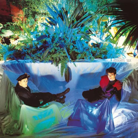 The Asssociates - Sulk (BMG)