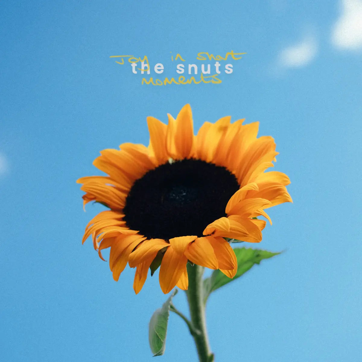 The Snuts - Joy in Short Moments (Happy Artist Records)