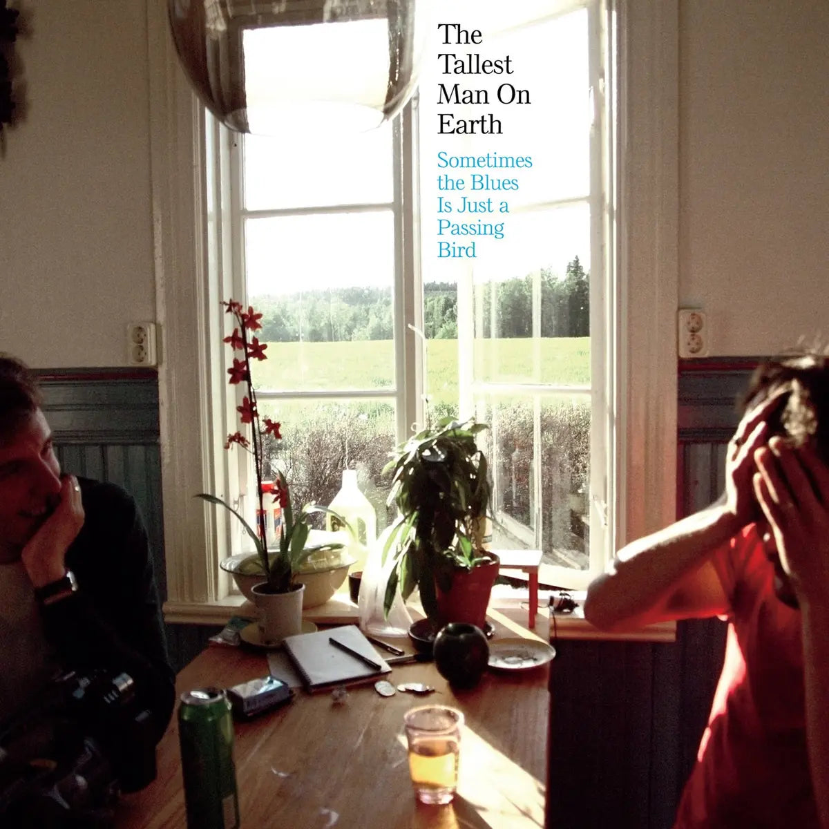 The Tallest Man On Earth - Sometimes The Blues Is Just A Passing Bird (ReVINYL Edition)(Dead Oceans)
