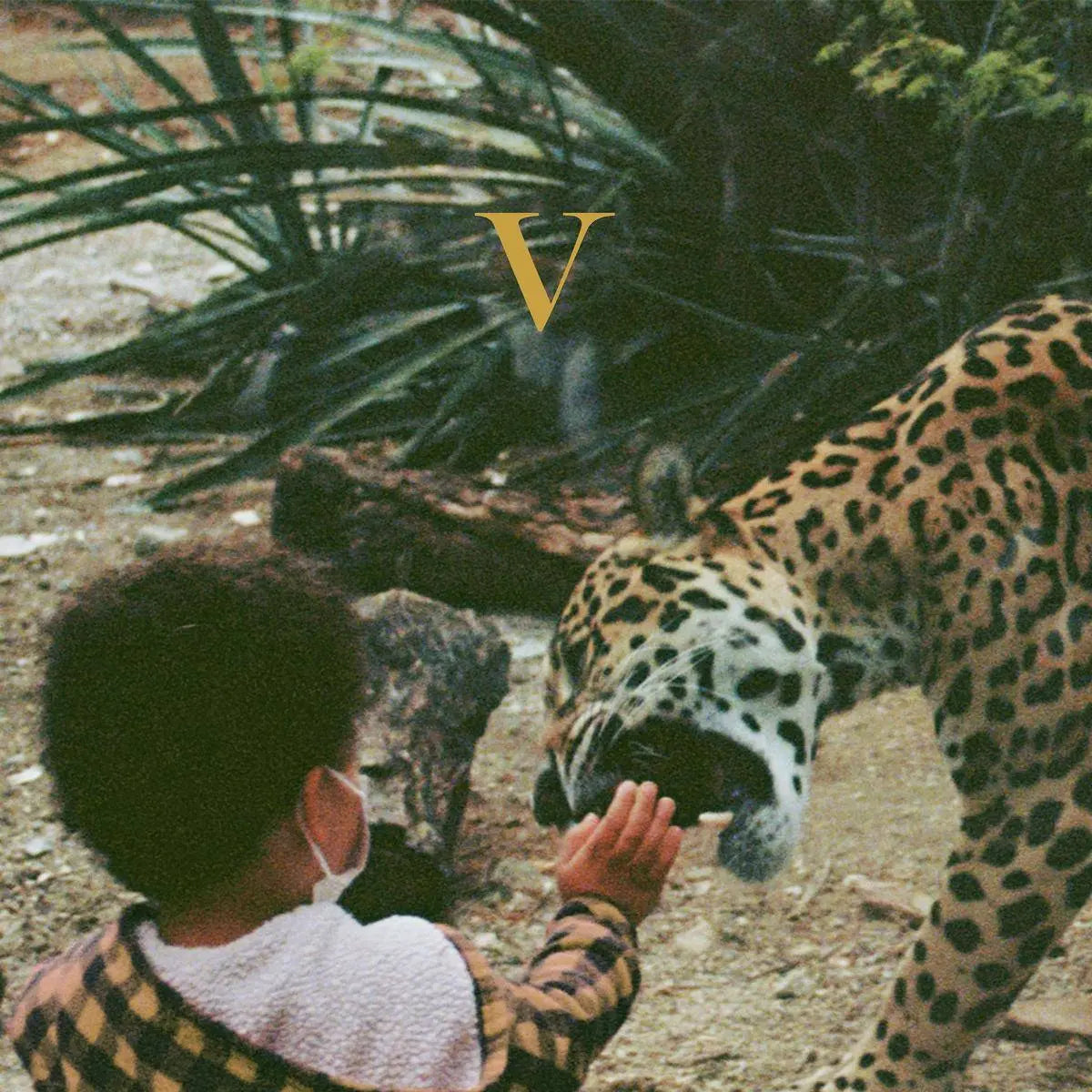 Unknown Mortal Orchestra - V (Jagjaguwar)