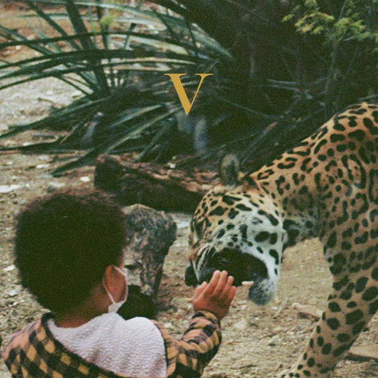 Unknown Mortal Orchestra - V (Jagjaguwar)